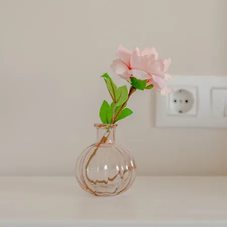 Esteponacies Apartment *