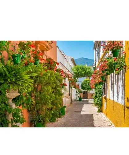 Esteponacies Estepona