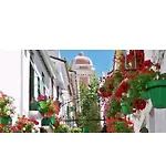 Esteponacies Apartment Estepona