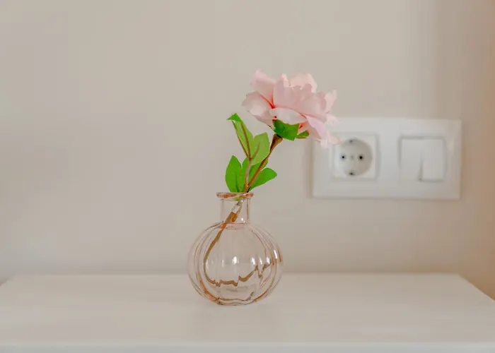 Esteponacies Apartment *